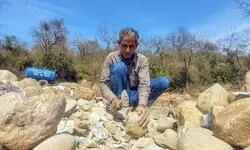 Ensuring equality and justice Ensuring equality and justice