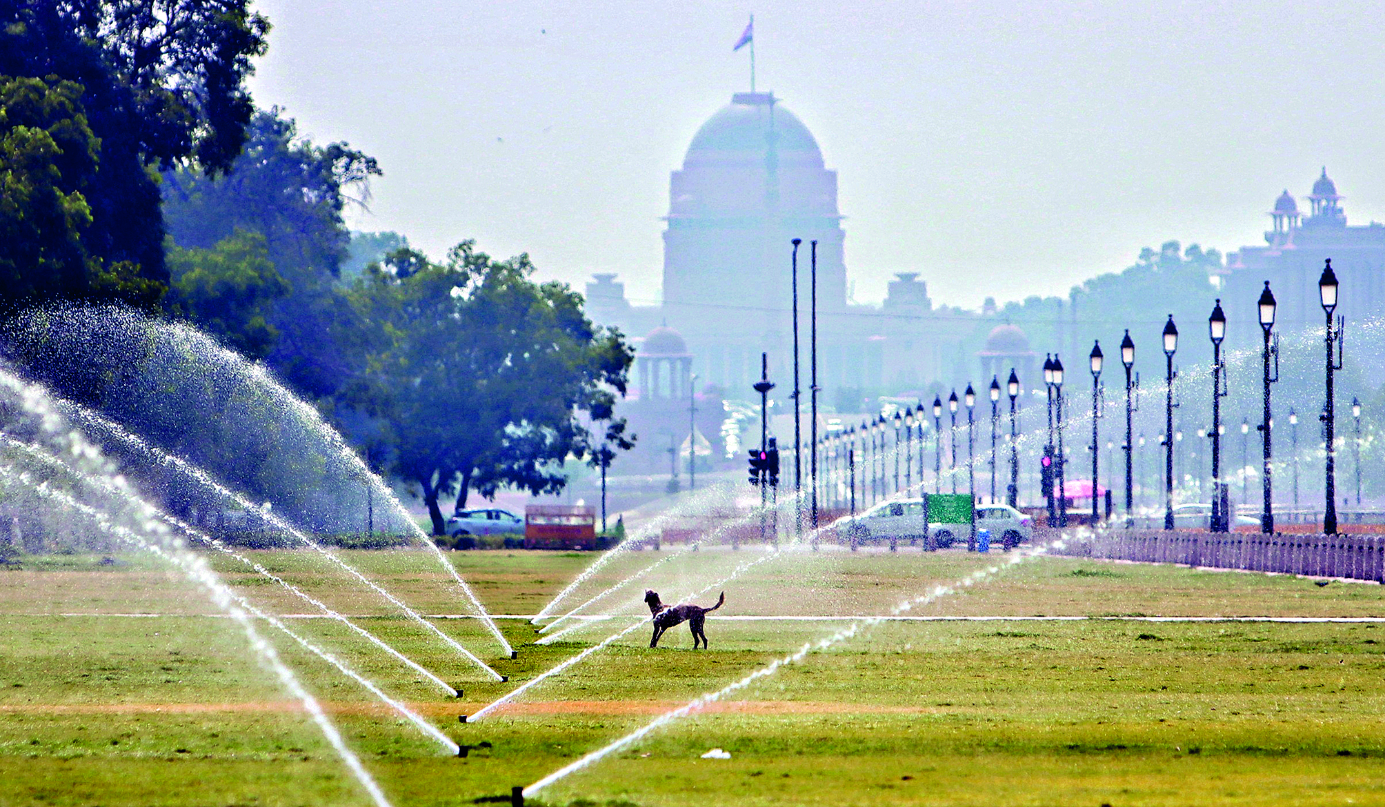 Delhi reels under severe heatwave, Najafgarh sizzles at 47.4 deg Celsius