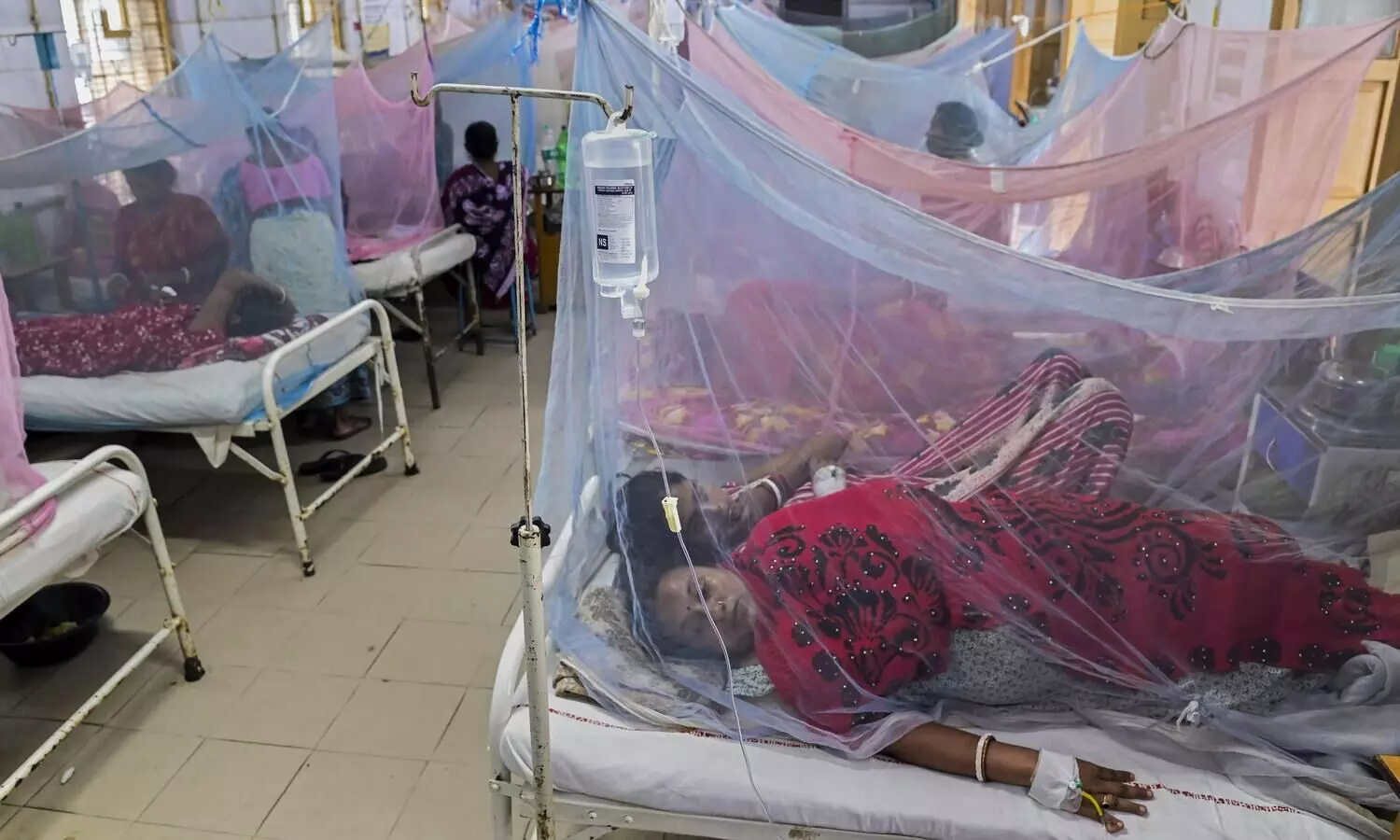 Mizoram: 7 people died of dengue in two years