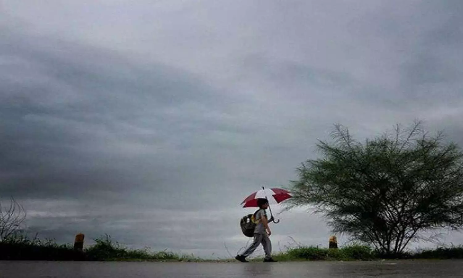 Southwest monsoon makes onset over Nicobar Islands: IMD