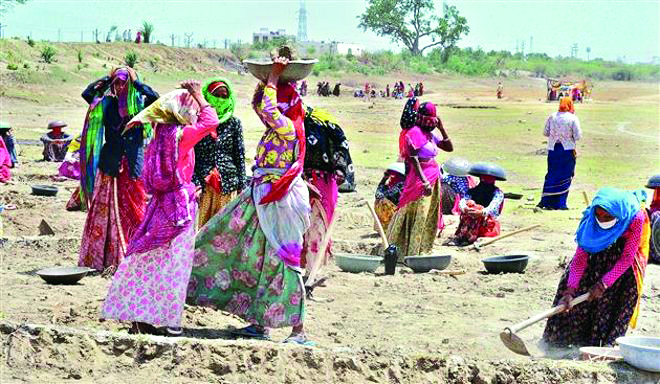 Trinamool asks why 83% Indian youths are jobless