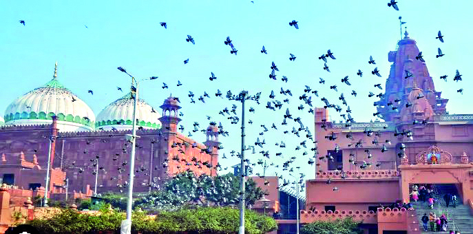 Places of Worship Act only applicable in ‘undisputed’ structures, Hindu side tells HC Places of Worship Act only applicable in ‘undisputed’ structures, Hindu side tells HC