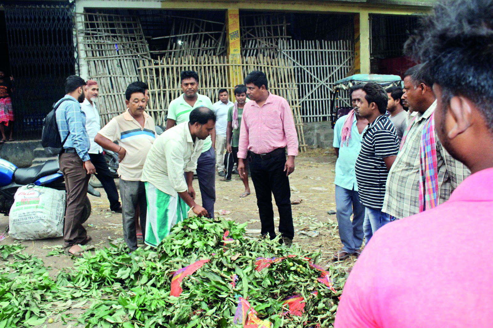 Malda: Enforcement against unripe fruits begins