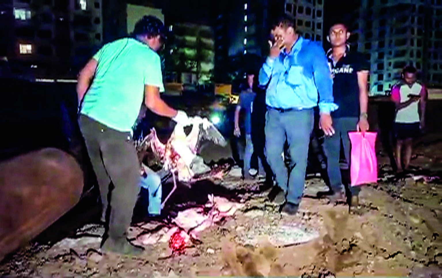 Over 30 flamingos killed after being hit by aircraft in Mumbai Over 30 flamingos killed after being hit by aircraft in Mumbai