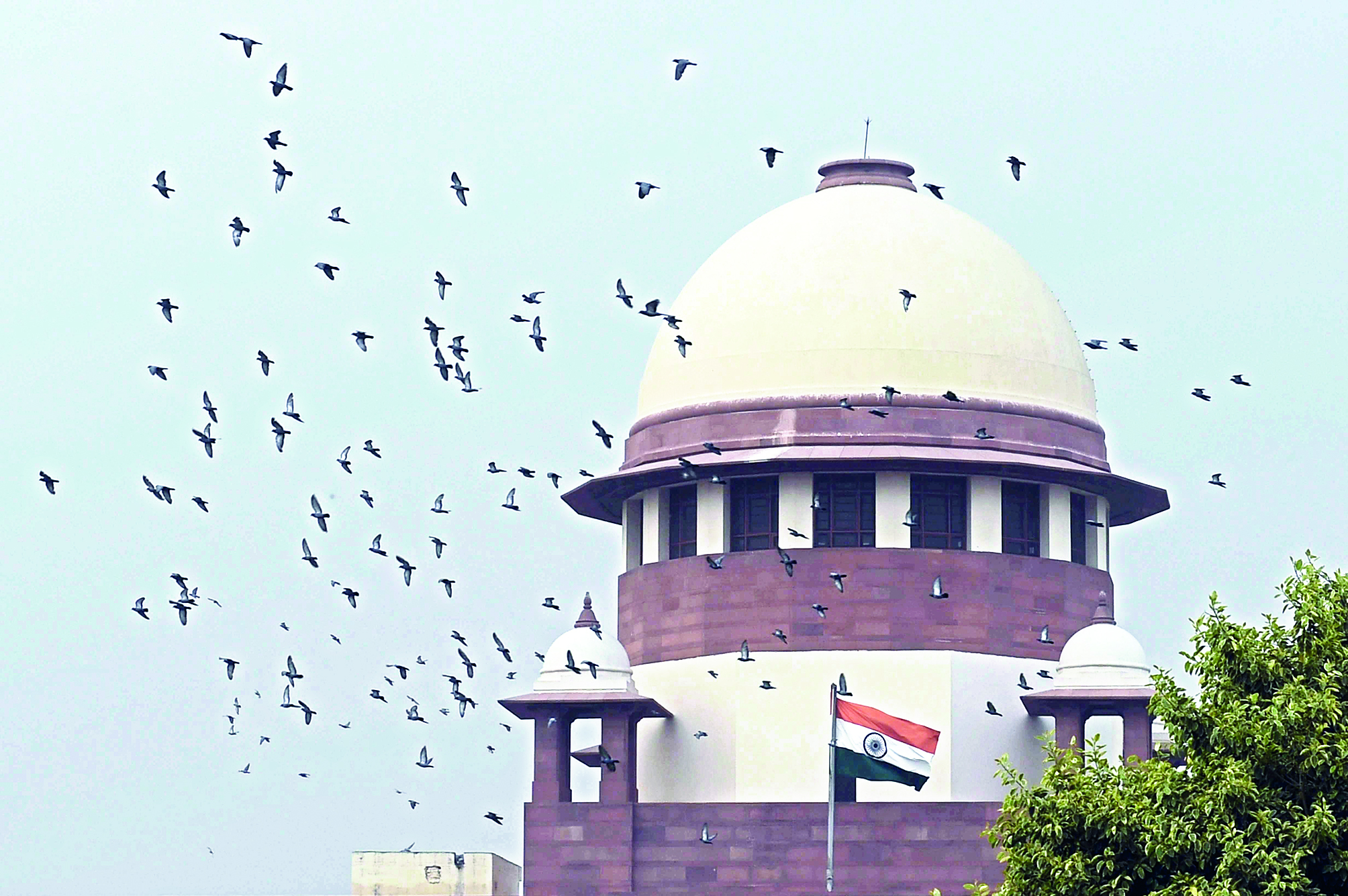 SC says national security prime, revokes   bail for PFI suspects