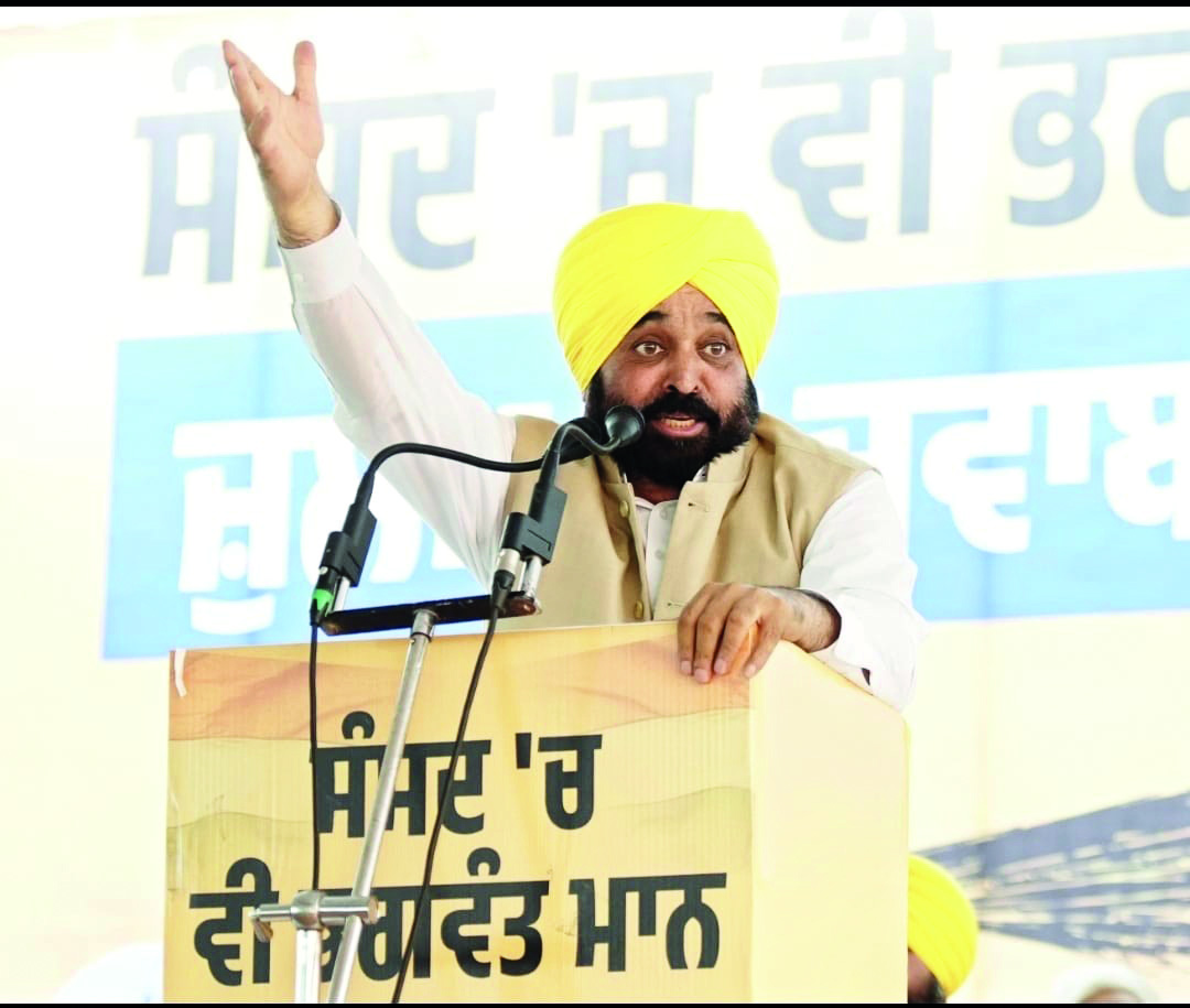Punjab: Mann assures support for ex-servicemen, criticises Centre