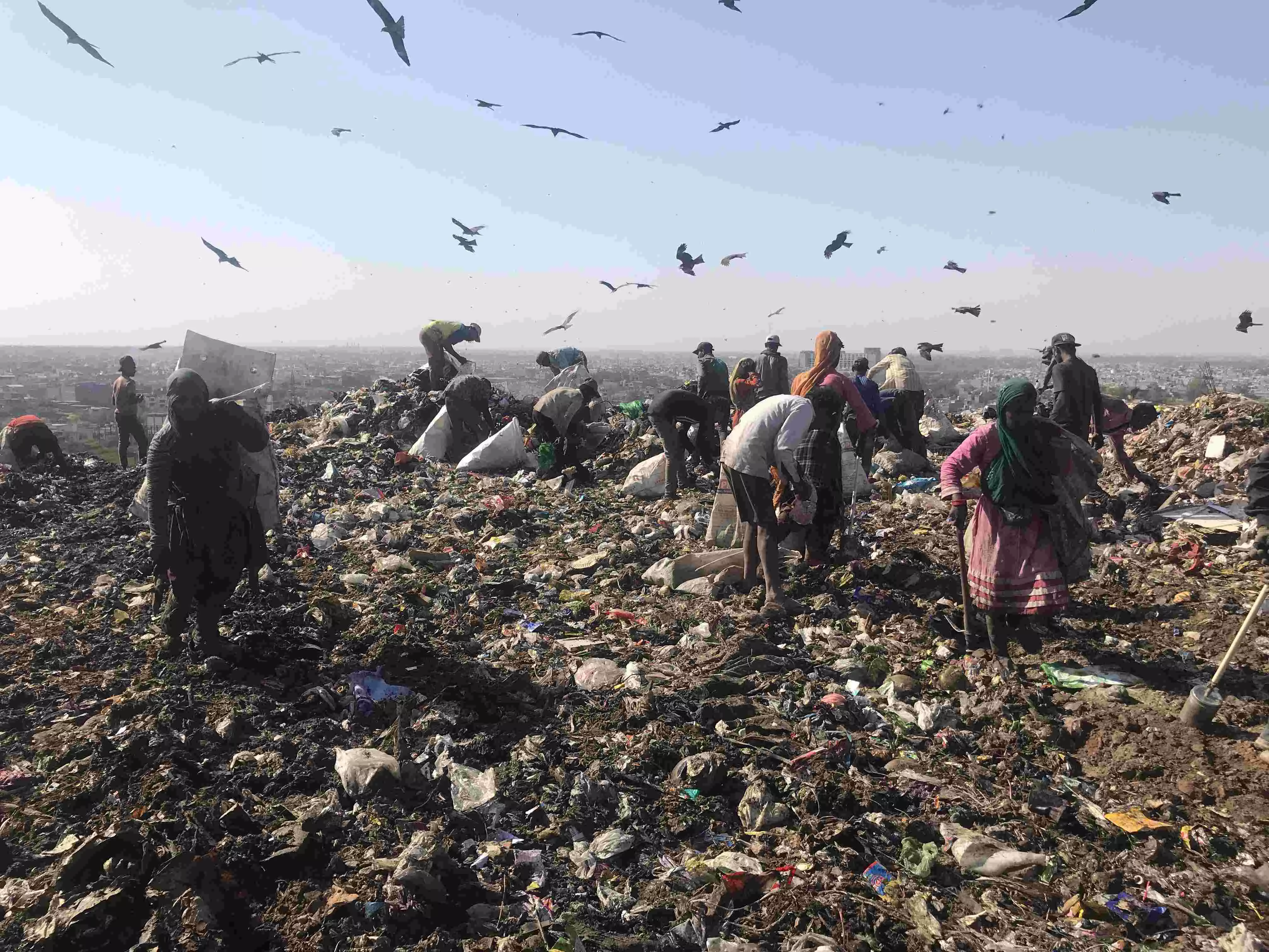 Waste to wealth Waste to wealth