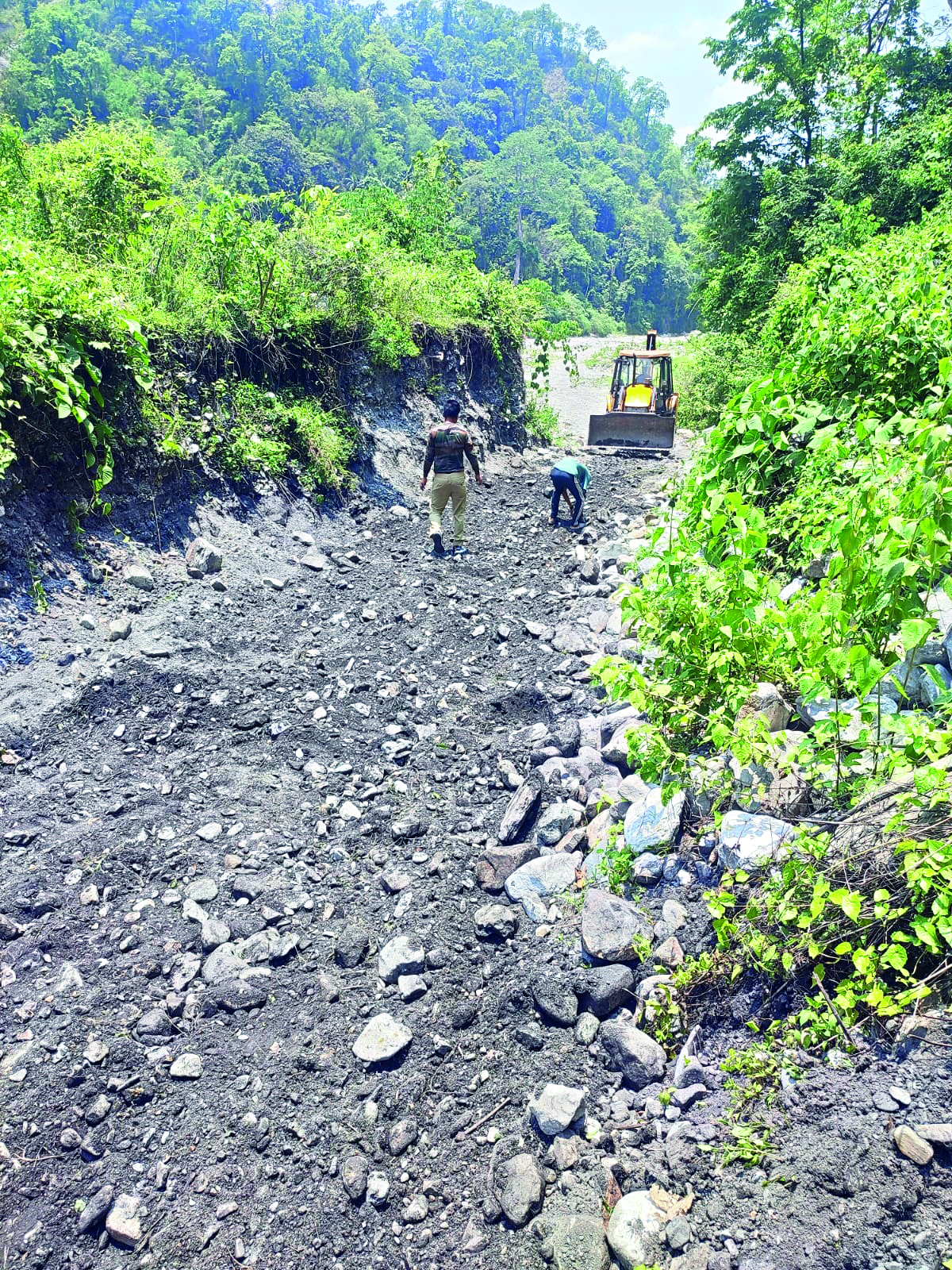 Safety: Buxa Tiger Reserve renovates jungle safari route Safety: Buxa Tiger Reserve renovates jungle safari route