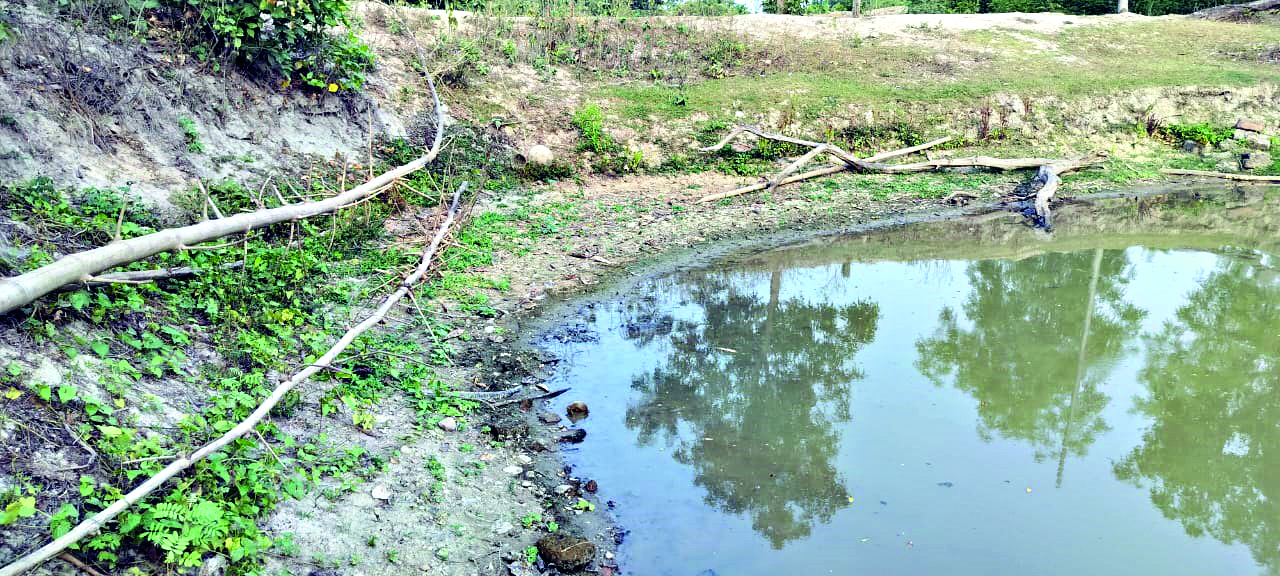 Tapan Block: Fish farming hampered due to heat & water-related problems Tapan Block: Fish farming hampered due to heat & water-related problems