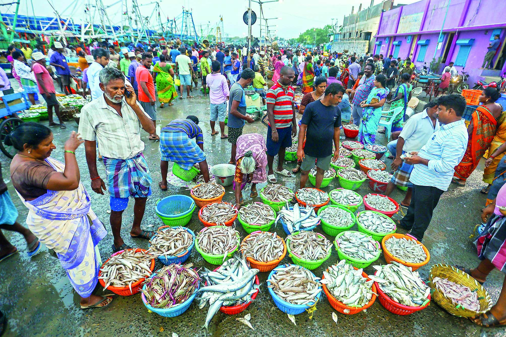Export of marine products drop 9% to $7.37 bn in FY24 Export of marine products drop 9% to $7.37 bn in FY24