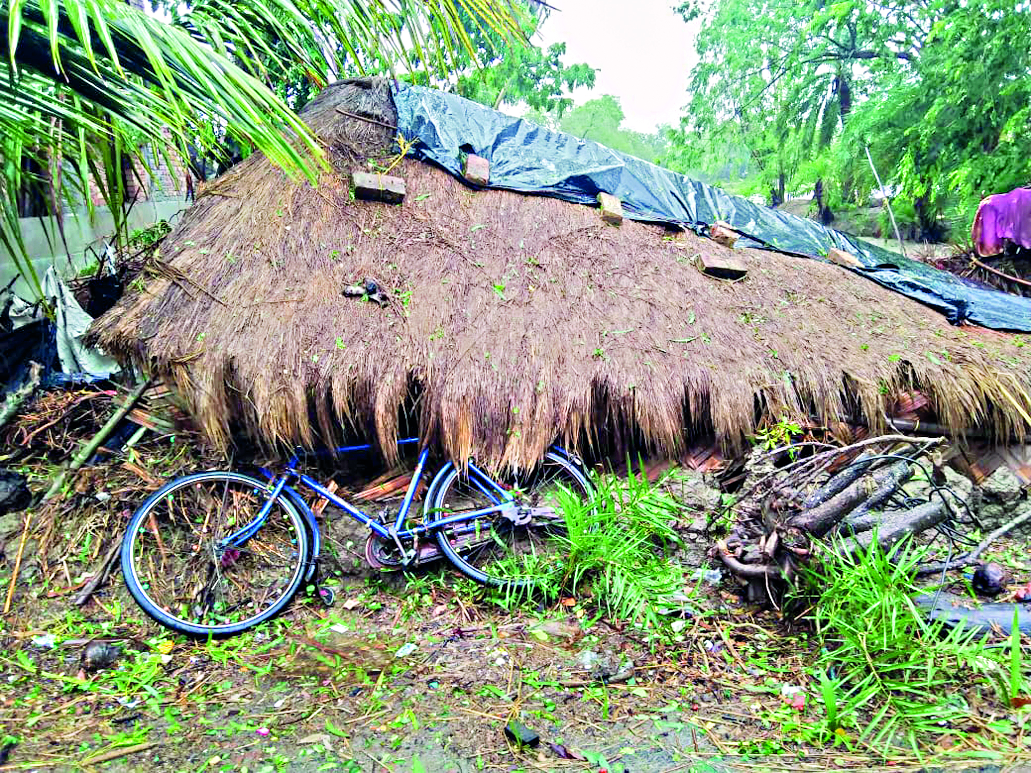 Cyclone ‘Remal’ fury: At least 6 dead, over 2,500 houses damaged