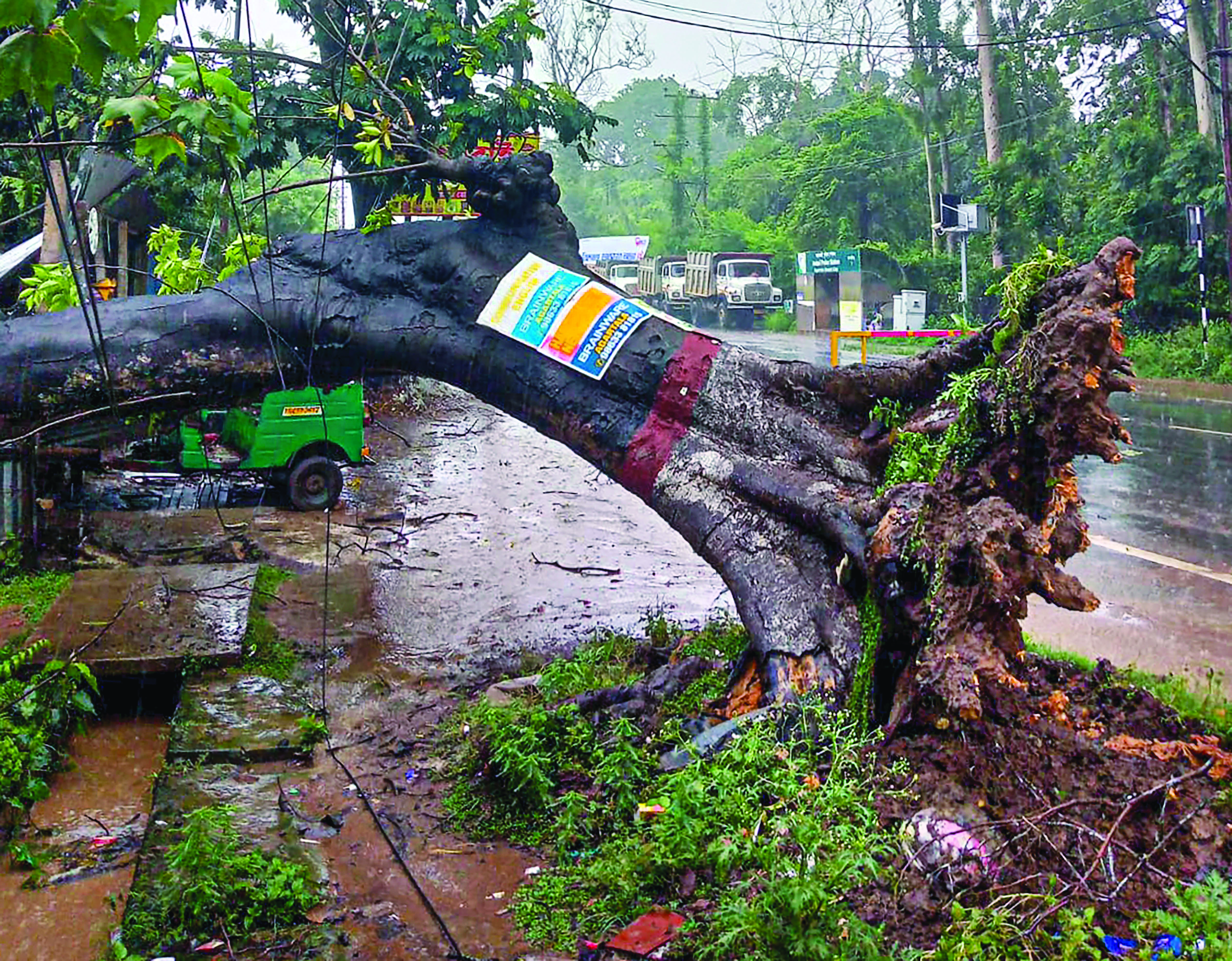 ‘Remal’ leaves trail of destruction ‘Remal’ leaves trail of destruction
