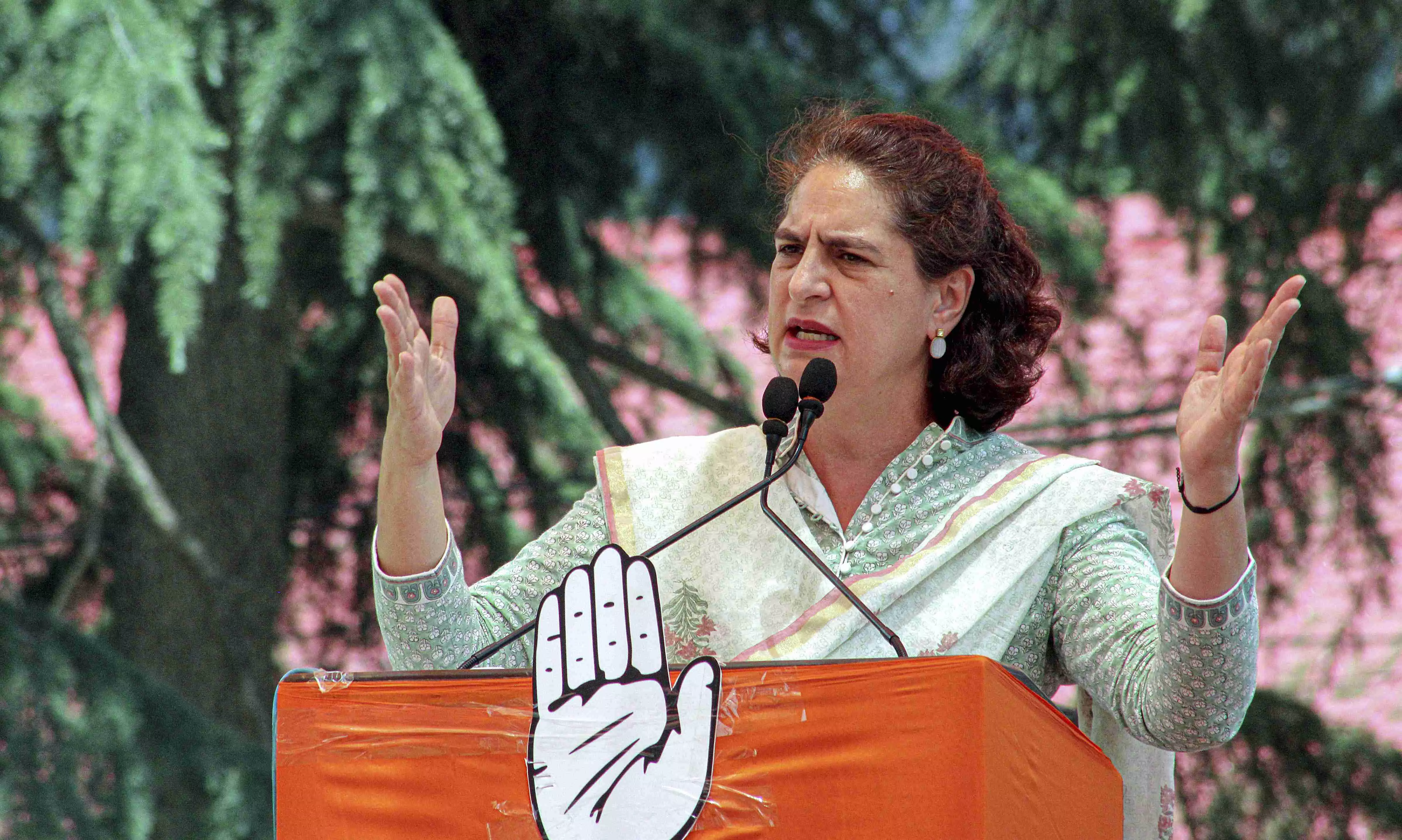 BJP govt harming tourism sector in Himachal Pradesh: Priyanka Gandhi BJP govt harming tourism sector in Himachal Pradesh: Priyanka Gandhi