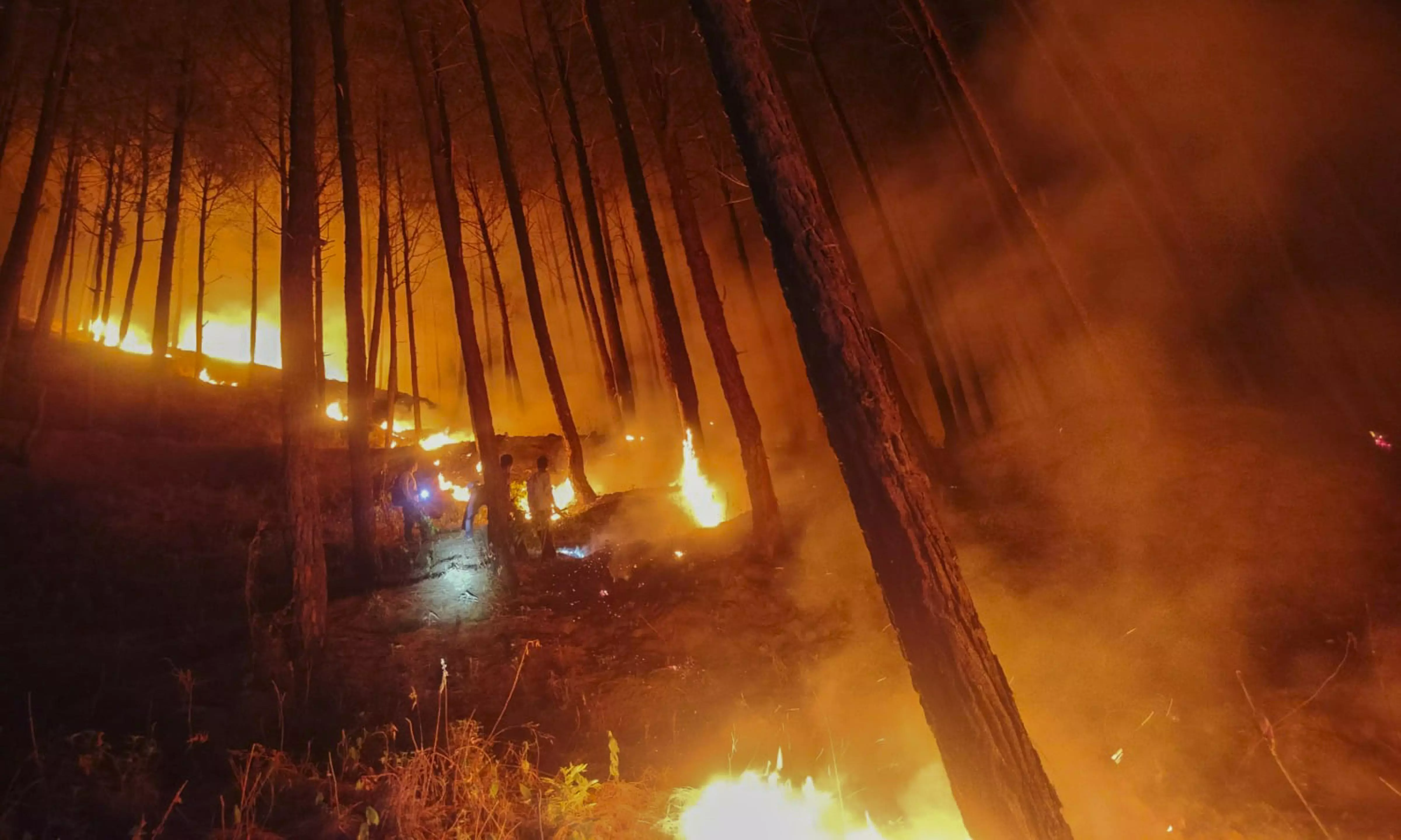 Wildfires flare up again in Uttarakhand after brief lull