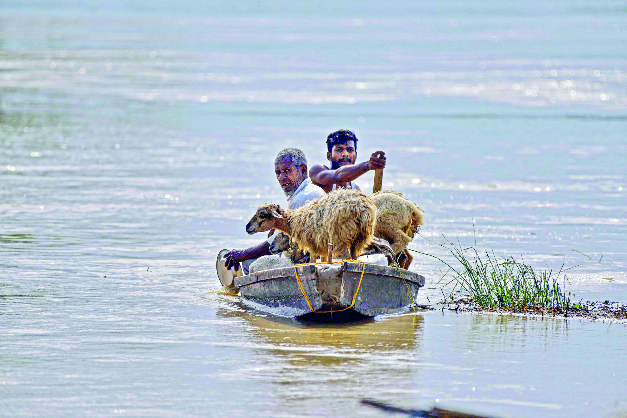 Over 6.25 lakh people affected by Assam floods, five dead Over 6.25 lakh people affected by Assam floods, five dead