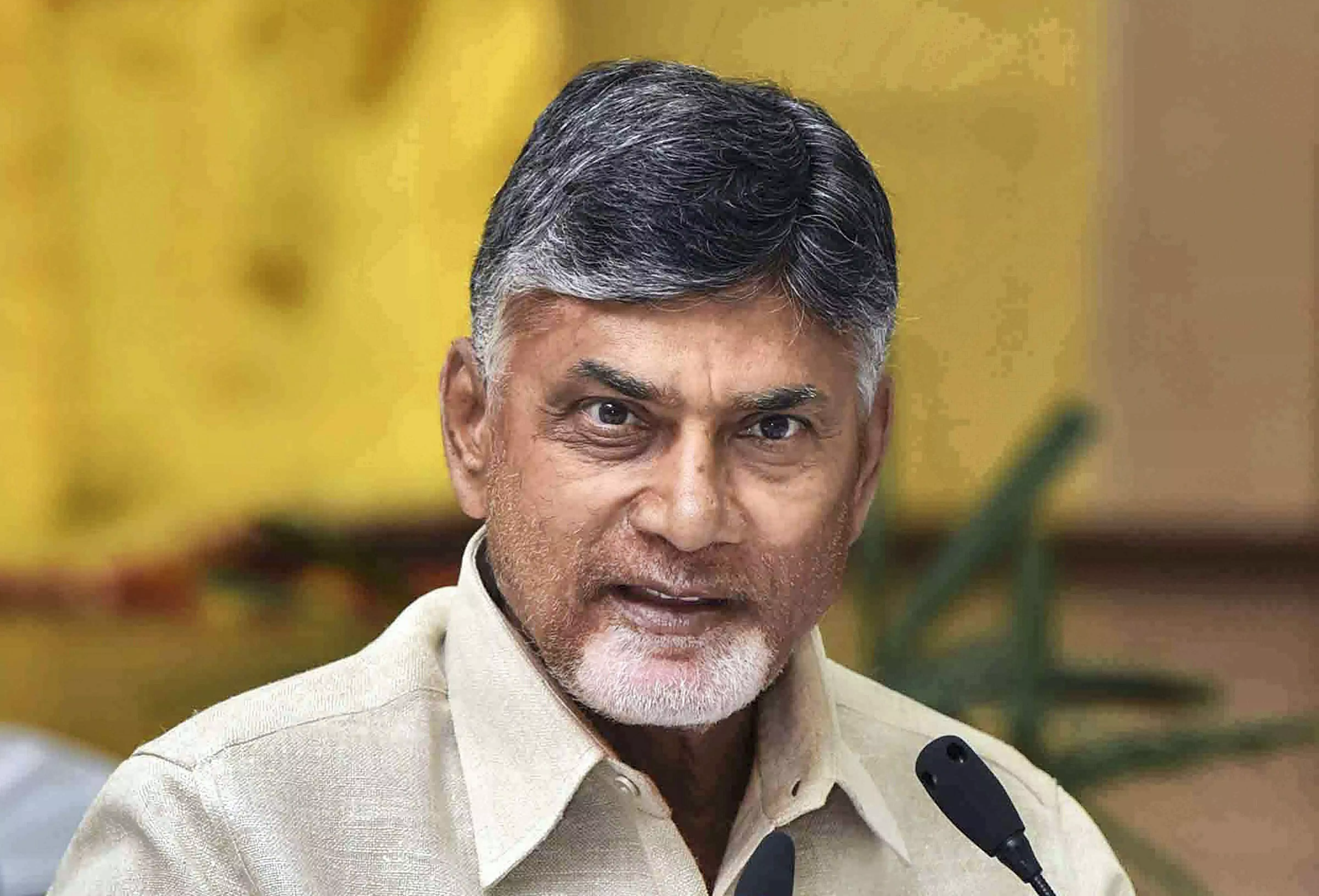 Five-day wealth surge: Naidu’s wife gains Rs 535 cr, son Rs 237 cr Five-day wealth surge: Naidu’s wife gains Rs 535 cr, son Rs 237 cr