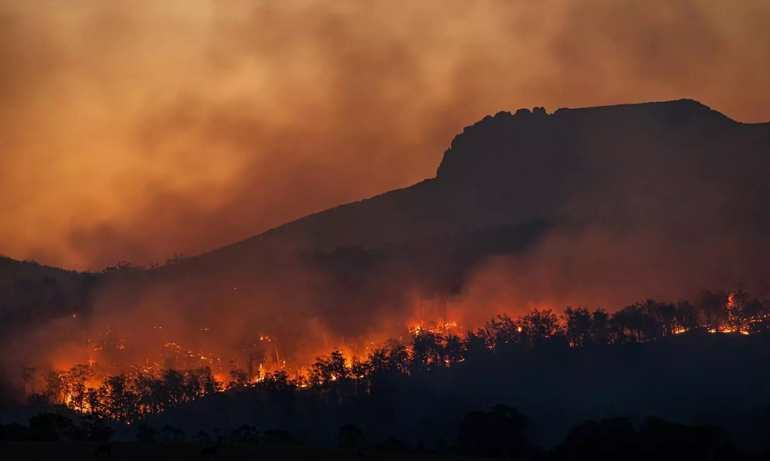 Global temperatures surge: Urgent warning signals from climate agencies Global temperatures surge: Urgent warning signals from climate agencies