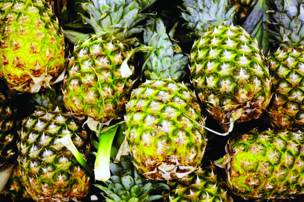 India exports 8.7 tonne high-quality pineapples to UAE India exports 8.7 tonne high-quality pineapples to UAE