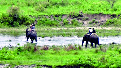 Tourist activities in nat’l parks, wildlife sanctuaries suspended for 3 months