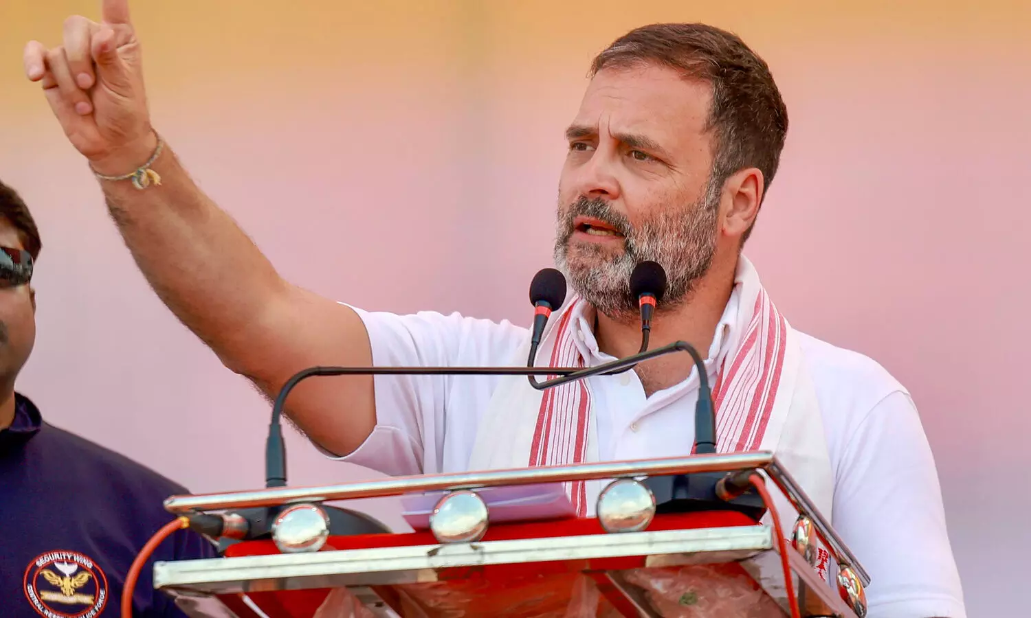 EVMs in India are black box, nobody allowed to scrutinize them: Rahul