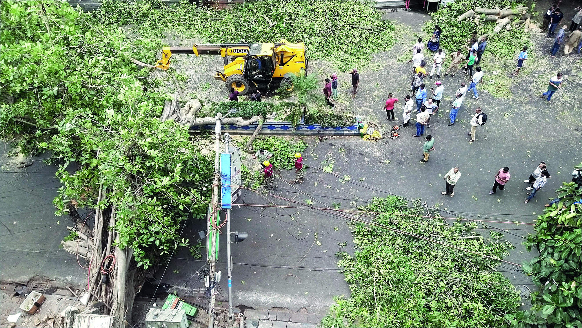 Tree collapse disrupts traffic movement at Sarat Bose Road