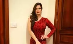 Zareen Khan wants to explore unconventional roles