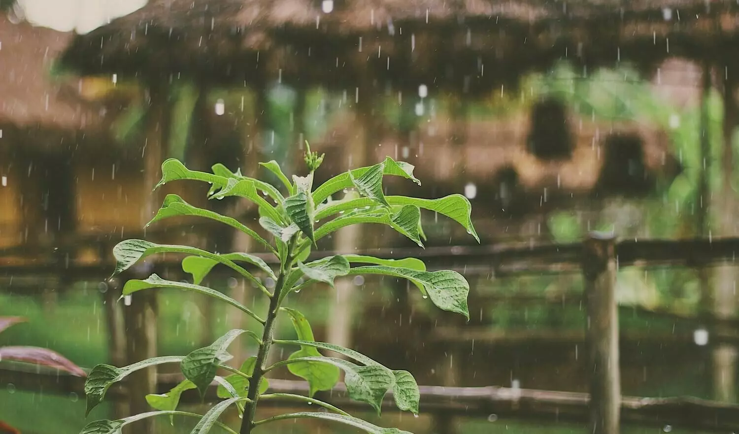 After days of heatwave, Delhi witnesses light rains, pleasant morning