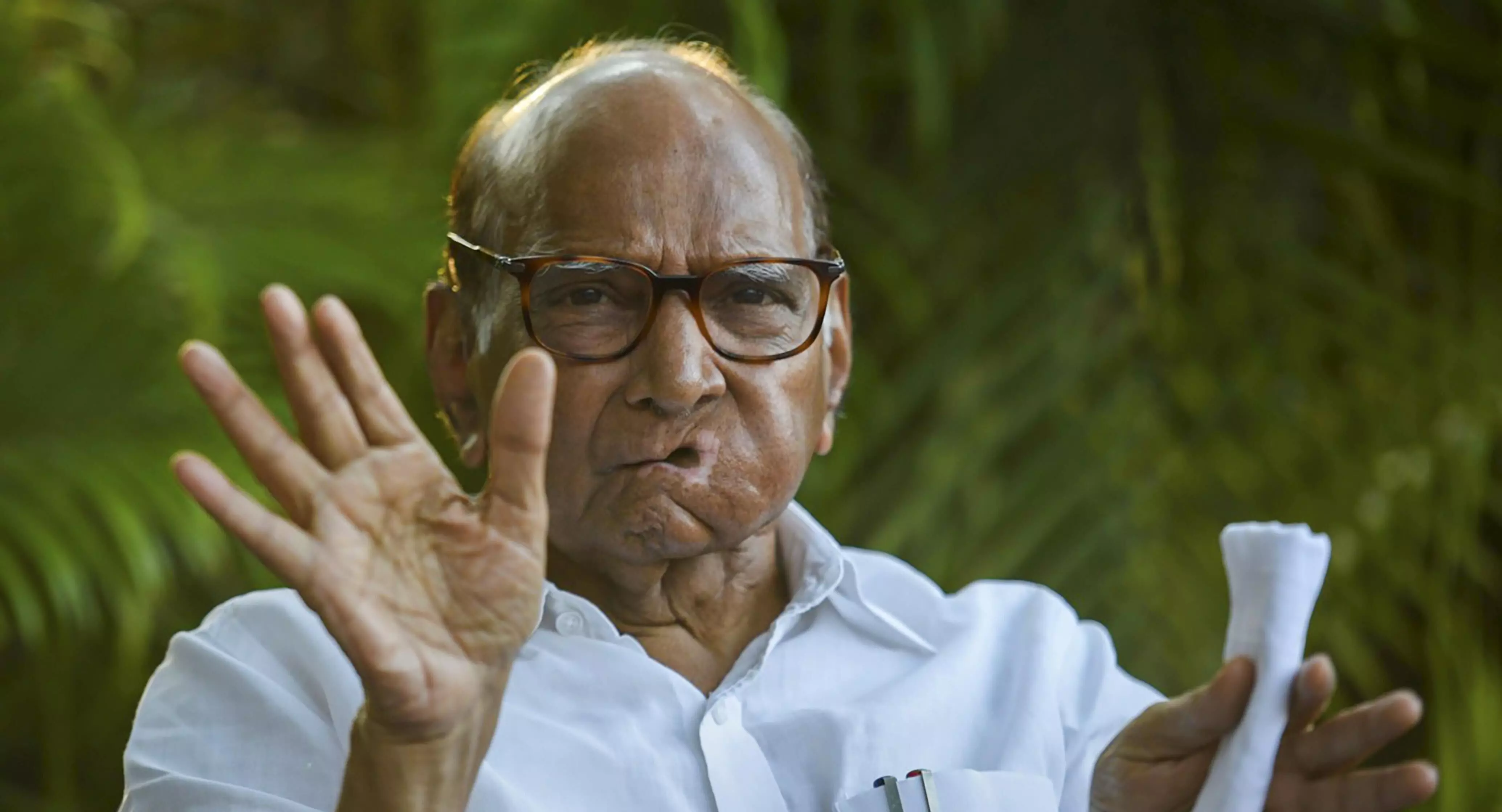 NCP (SP) demands bigger share in seat allocation, Pawar hints at meet