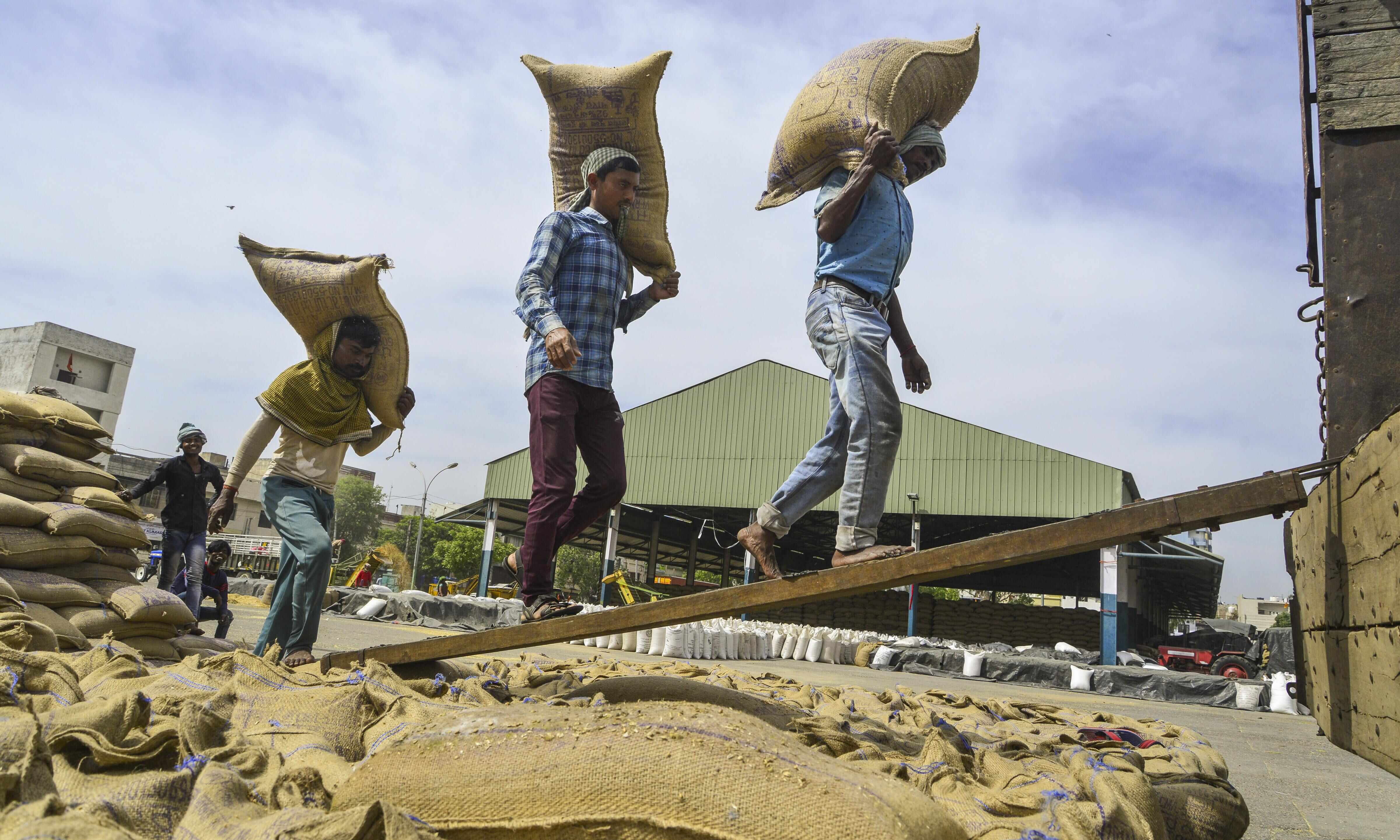 Govt imposes stock limits on wheat to check hoarding, price rise