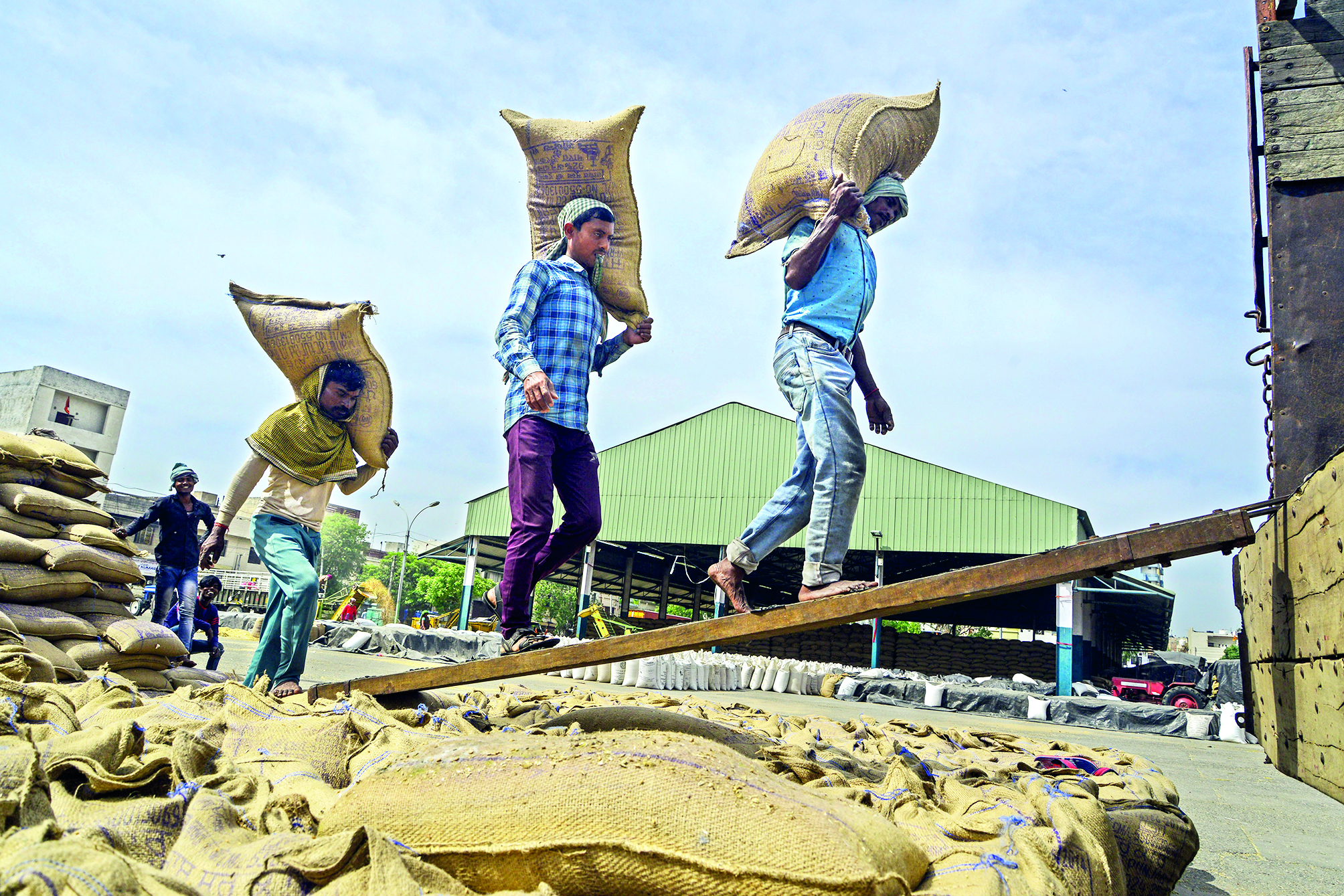 Govt caps wheat stock holding limit to check hoarding, price rise Govt caps wheat stock holding limit to check hoarding, price rise