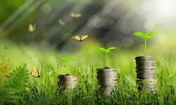 Climate-proofing finances