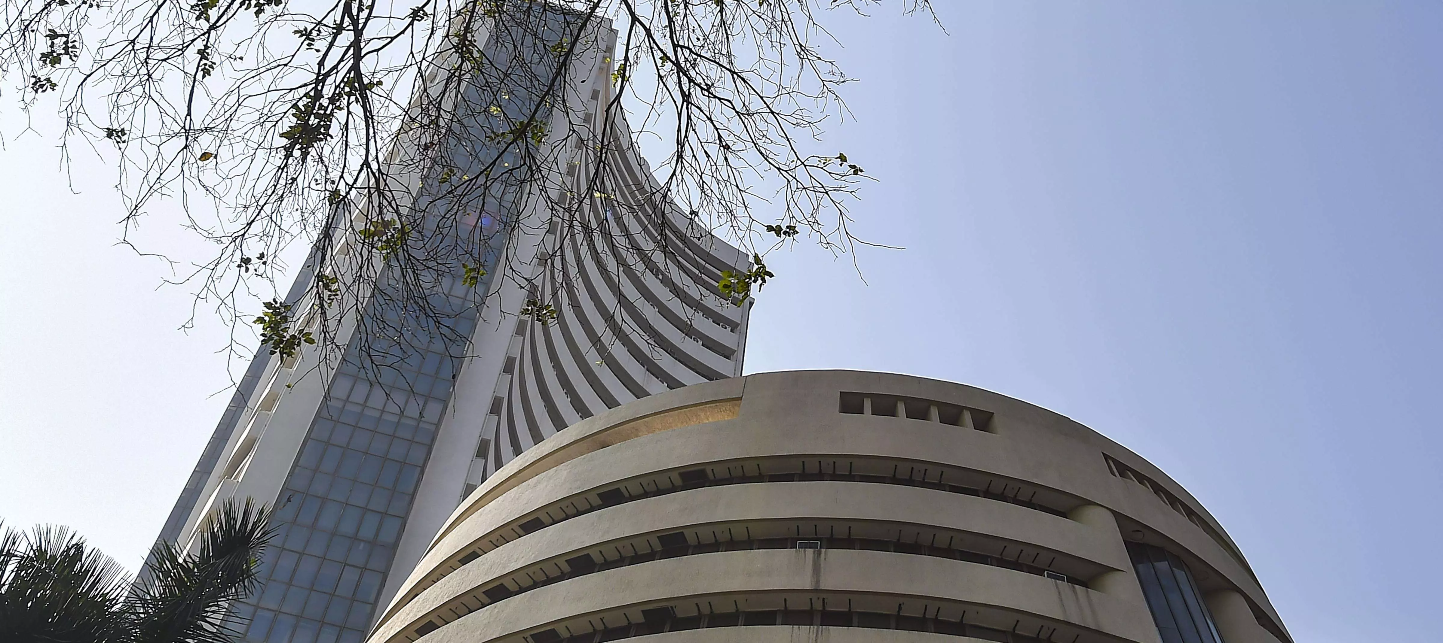 Sensex breaches 79,000 level, Nifty 24,000 peak for 1st time on gains in blue-chips Sensex breaches 79,000 level, Nifty 24,000 peak for 1st time on gains in blue-chips