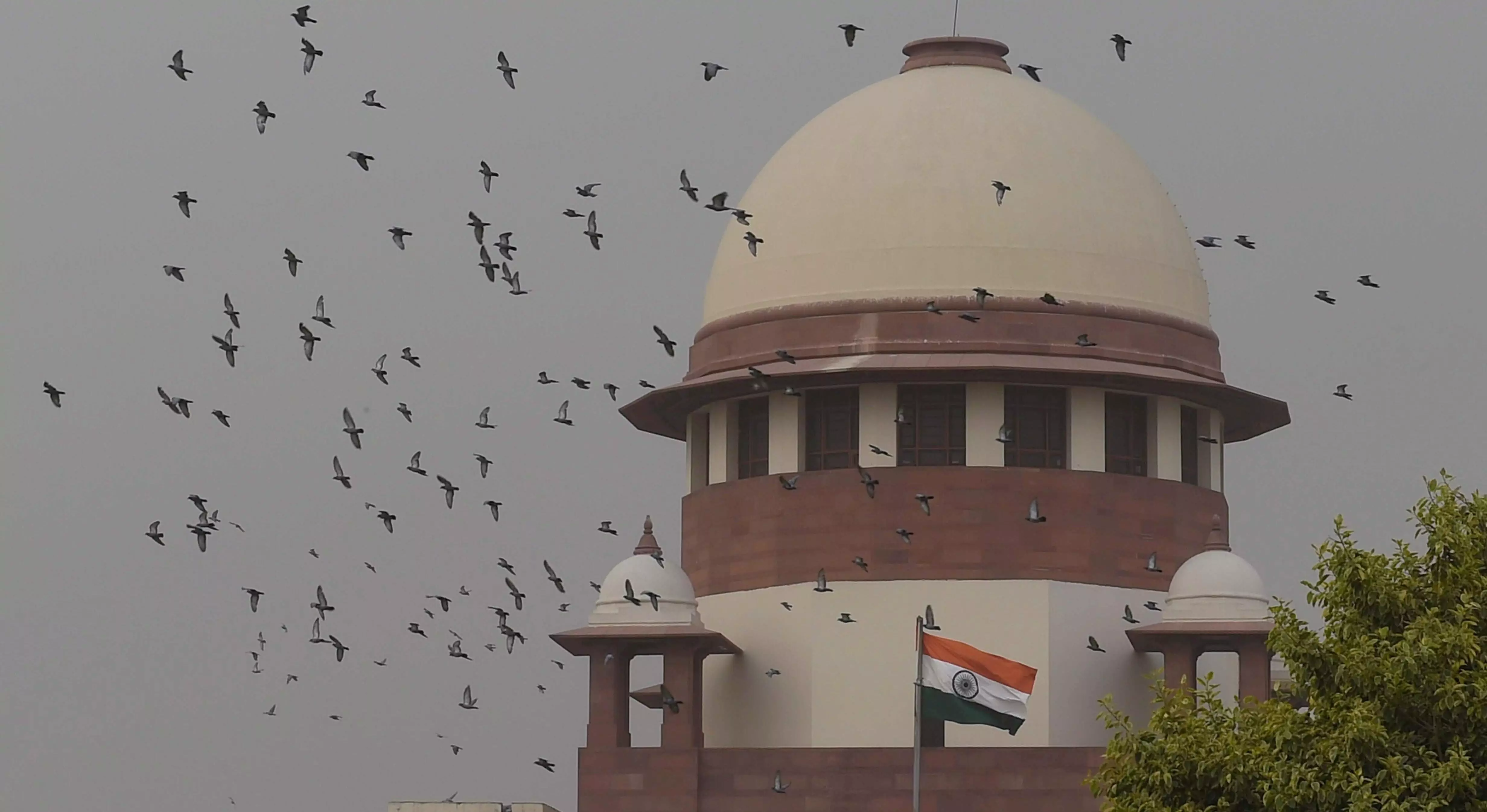 NEET-UG row: SC to hear batch of pleas on July 8 NEET-UG row: SC to hear batch of pleas on July 8