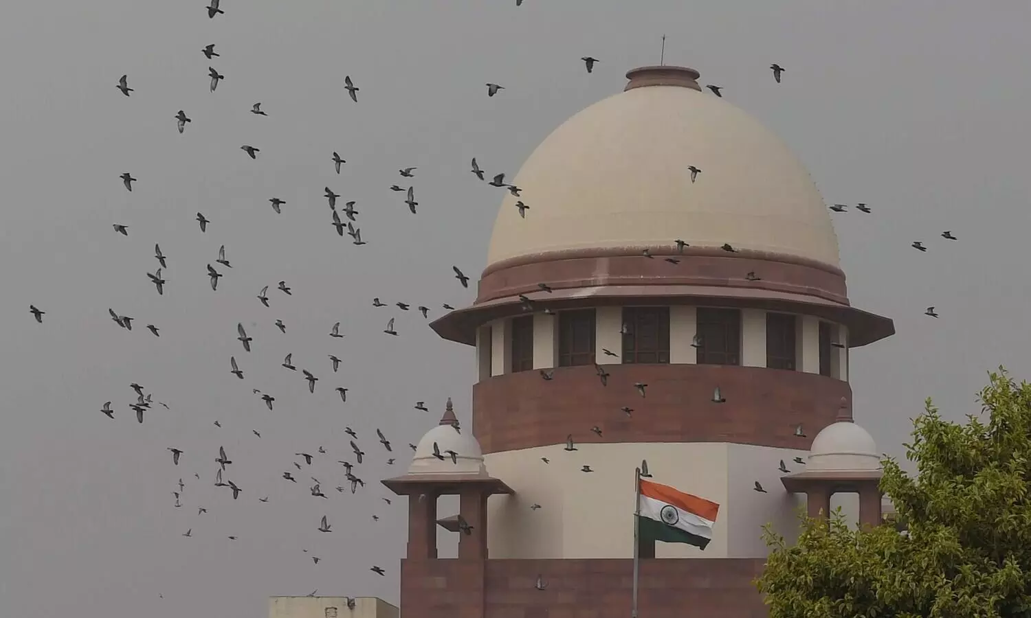 Interfaith marriage: SC asks U’khand judge to ascertain if woman wants to go back to spouse