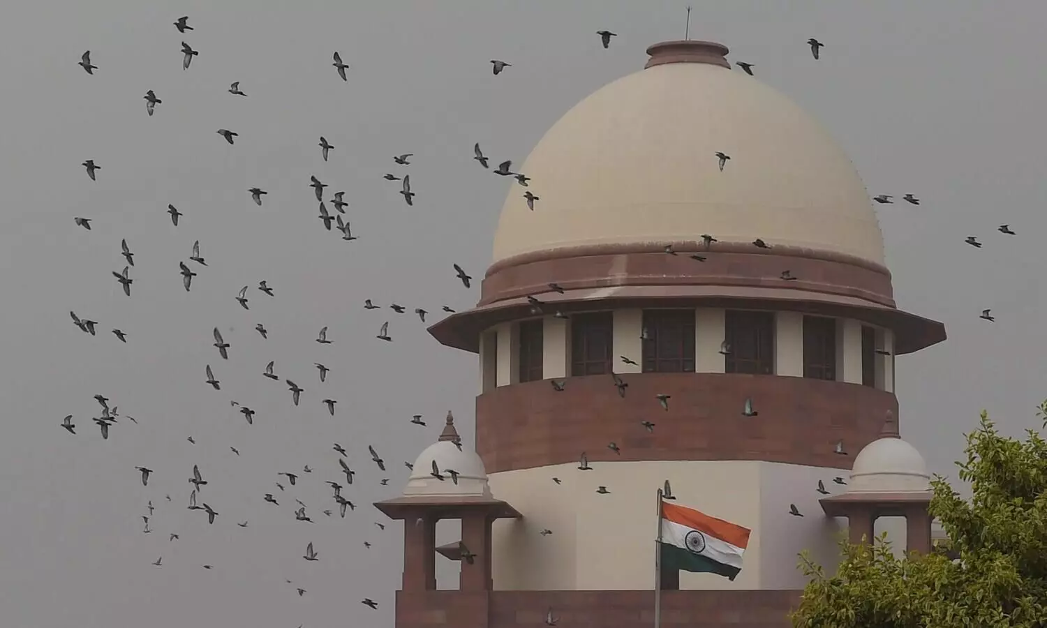 SC to consider pleas seeking review of verdict declining legal recognition to same-sex marriage