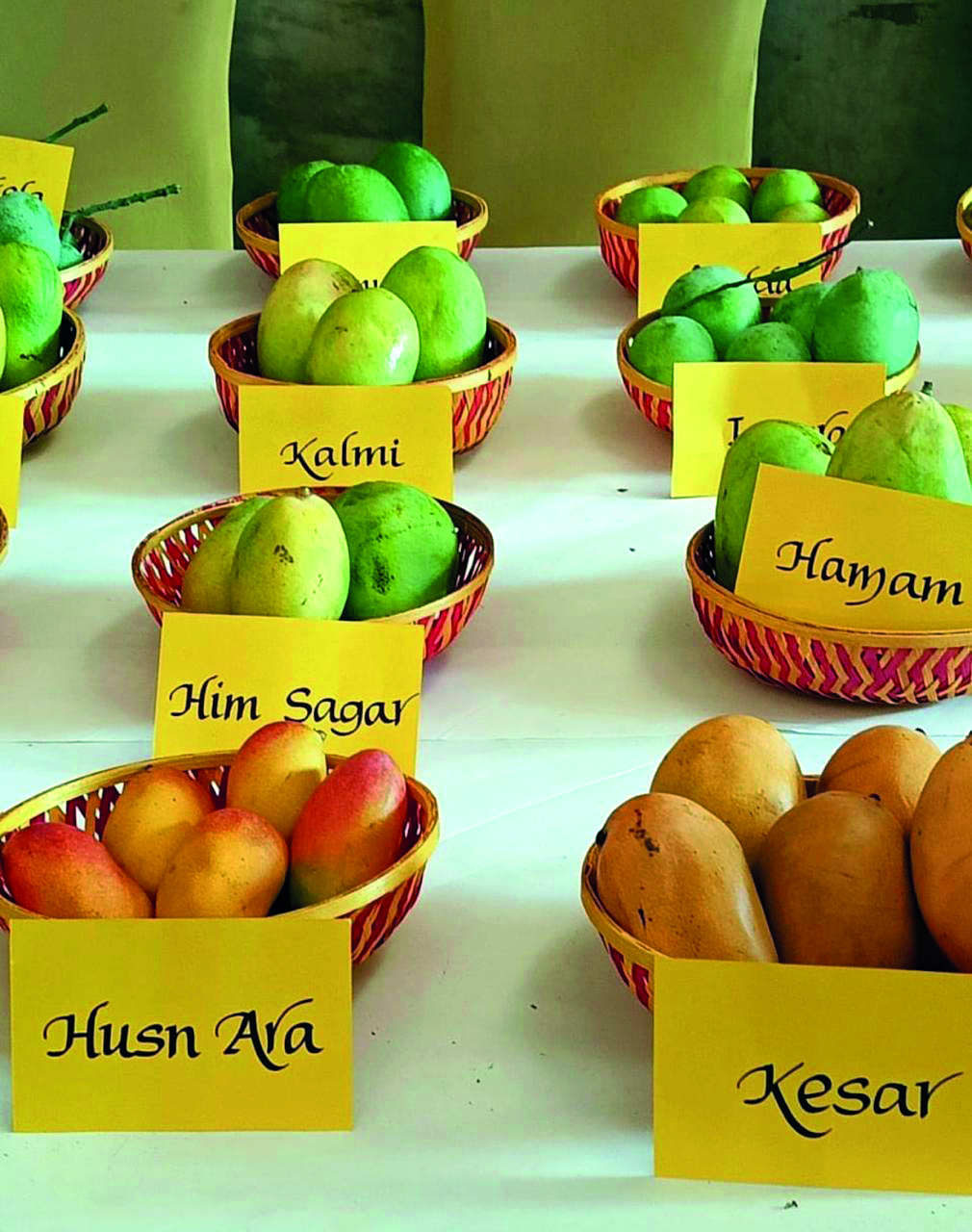 33rd Mango Festival kicks   off at Dilli Haat, Janakpuri 33rd Mango Festival kicks   off at Dilli Haat, Janakpuri