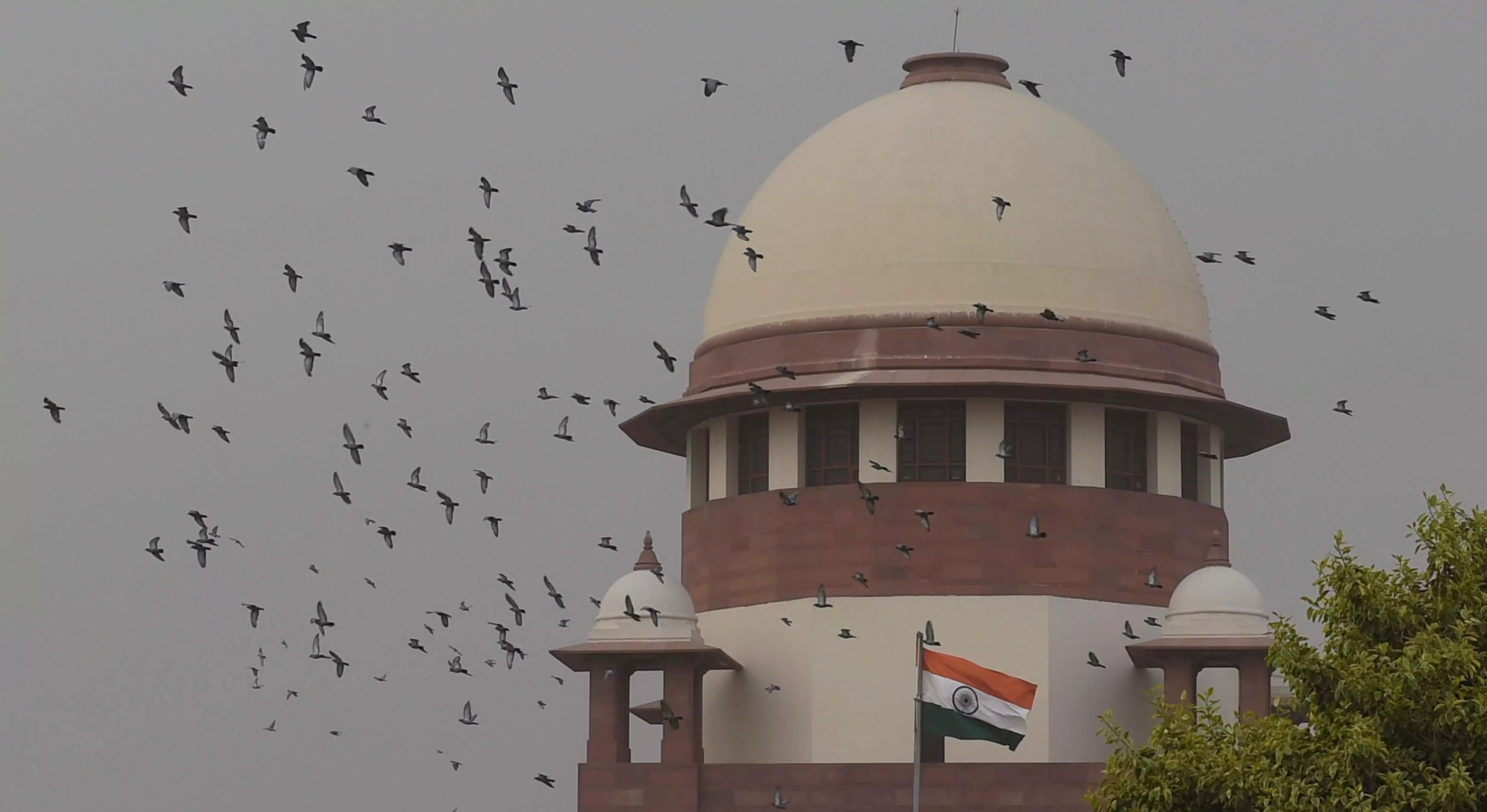 SC to consider pleas seeking review of verdict declining legal recognition to same-sex marriage