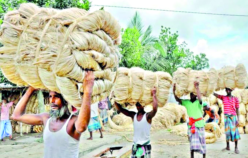 Jute Commissioner: Steps being taken to address order shortage, other issues Jute Commissioner: Steps being taken to address order shortage, other issues
