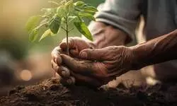 Embracing a green future