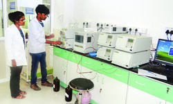 How has AI changed the food industry, and has the curriculum at NIFTEM been updated to incorporate these advancements?