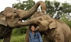 Chiangmai: An oasis of peace and tranquillity Chiangmai: An oasis of peace and tranquillity