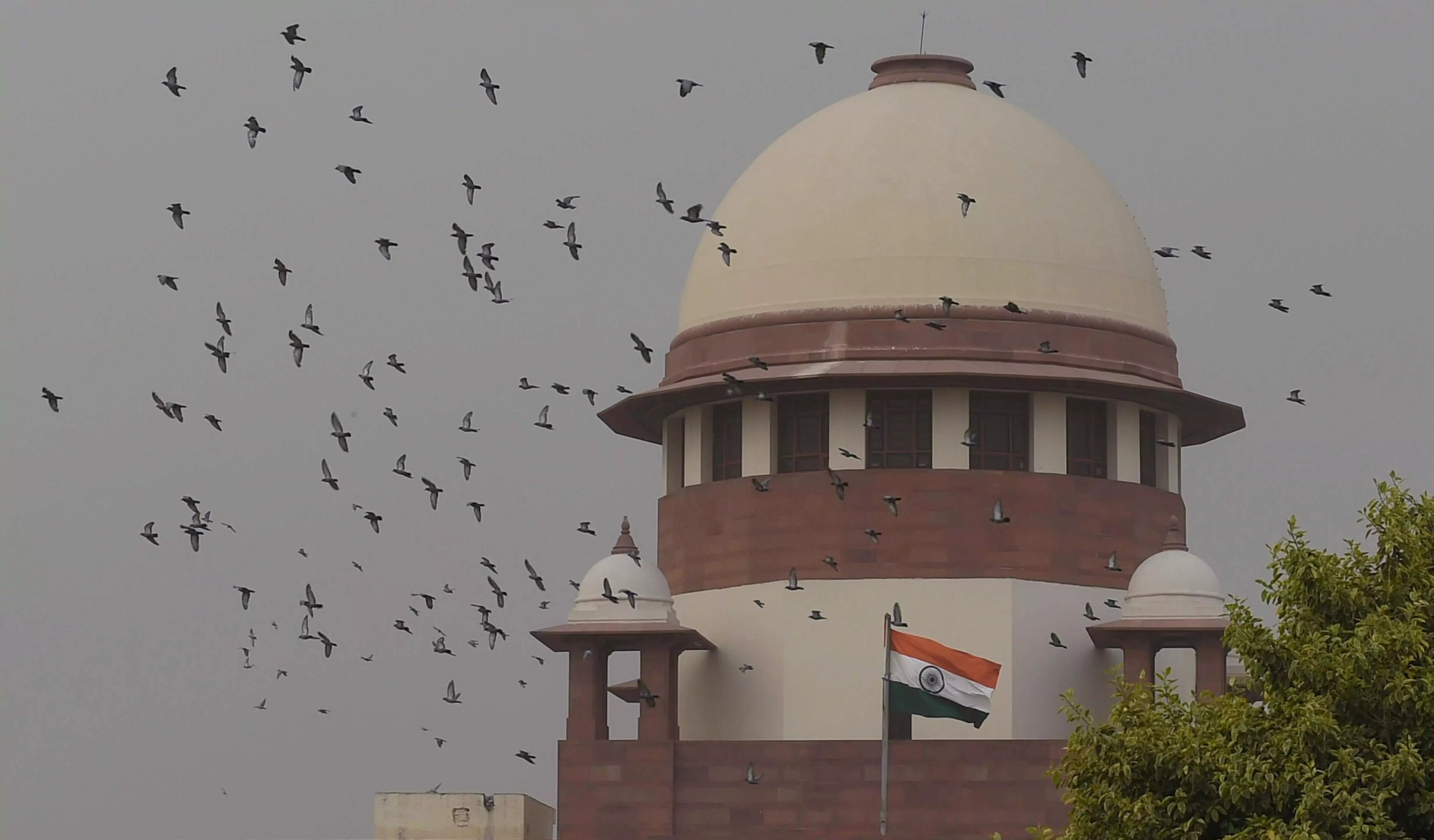 SC orders release of YouTuber Savukku Shankar detained under Goondas Act