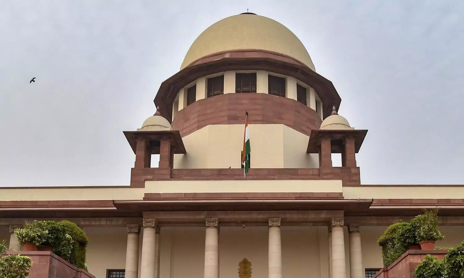 SC dismisses plea to allow arrested political leaders to campaign virtually