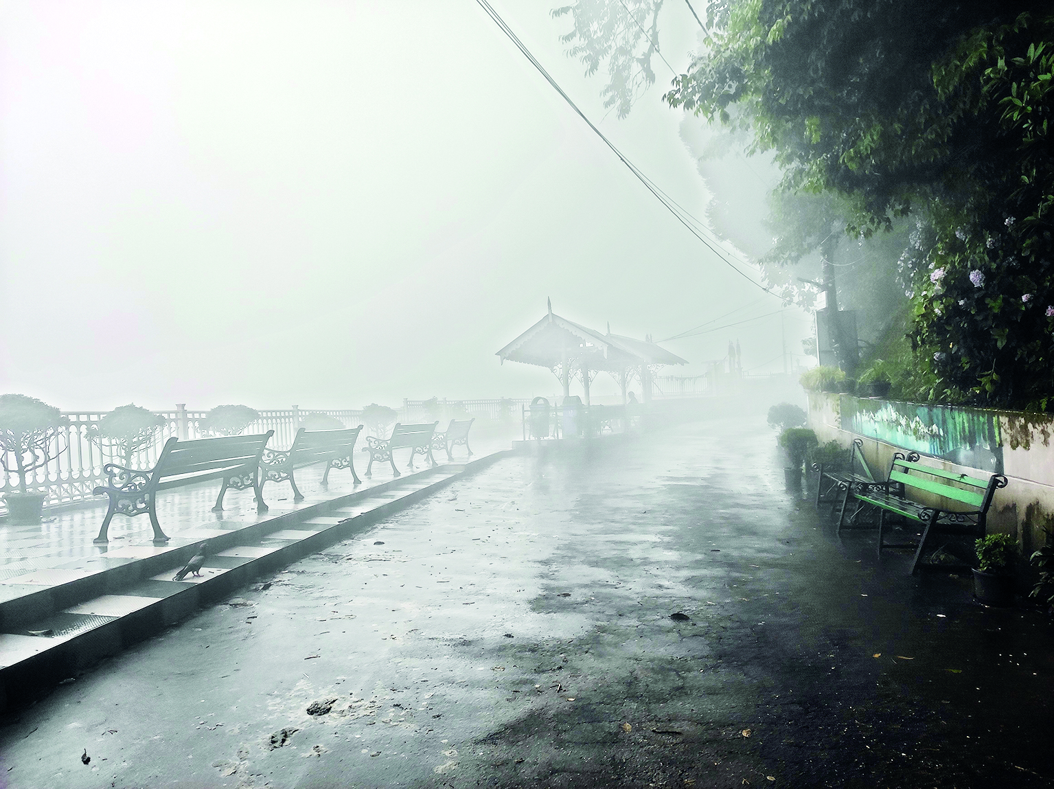 Municipality to launch proj ‘Beautiful Darjeeling’