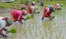 Union Budget ignored farming sector, claim Punjab farmers Union Budget ignored farming sector, claim Punjab farmers