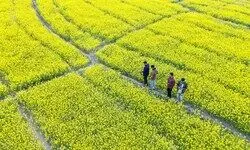 Tricky imperative Tricky imperative