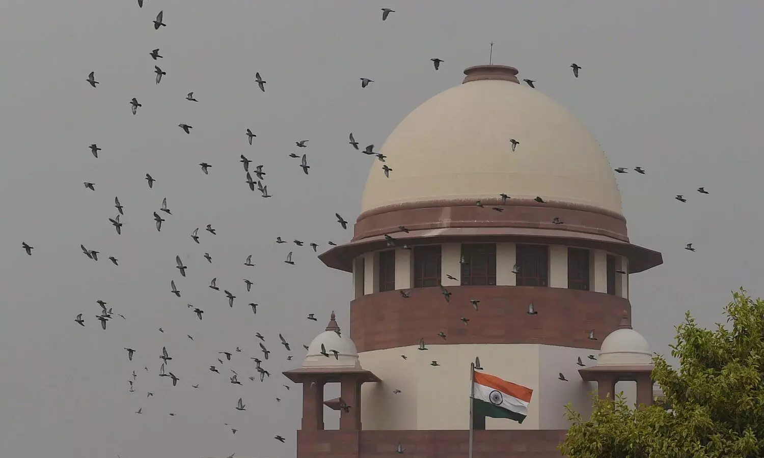 SC flags lack of facilities in Assams detention centre