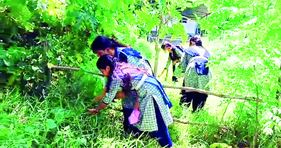 South Dinajpur schools to cultivate nutrition gardens South Dinajpur schools to cultivate nutrition gardens