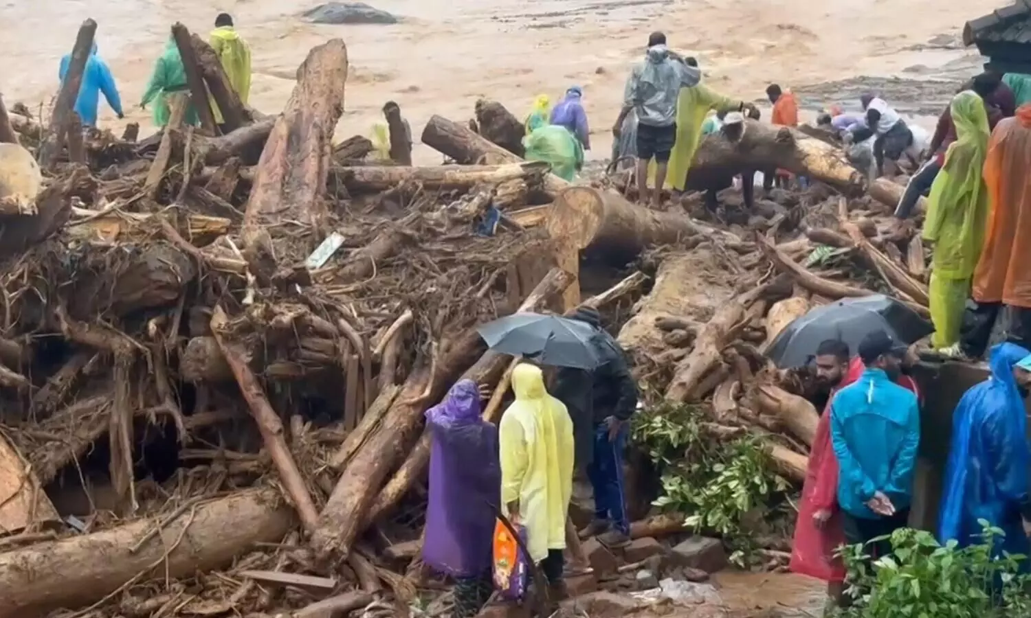 Wayanad landslides: Emergency services, armed forces pressed into rescue operations