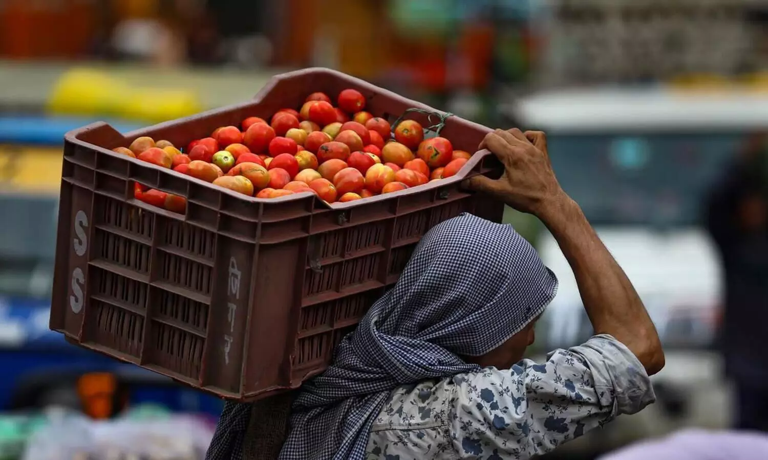 From Friday, Govt to sell subsidised tomatoes at Rs 50/kg in Delhi-NCR, Mumbai against Rs 60/kg now